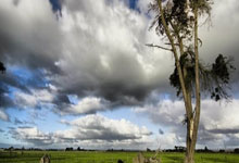 EMC易倍：科莫体育总监：尼科-帕斯潜力巨大，我们想尽可能久地留住他.