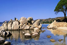 紐卡斯爾、羅馬和皇馬都對馬科斯-萊昂納多有信心.